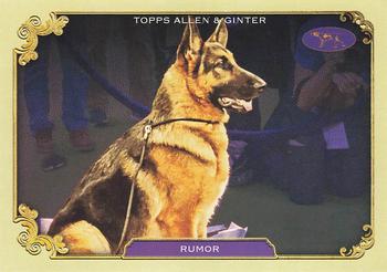 2024 Topps Allen & Ginter #SOS-16 Rumor Stars Of The Show