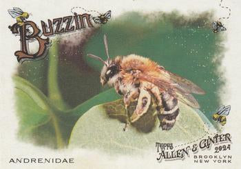 2024 Topps Allen & Ginter #BUZ-7 Andrenidae Buzzin'