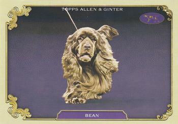 2024 Topps Allen & Ginter #SOS-9 Bean Stars Of The Show