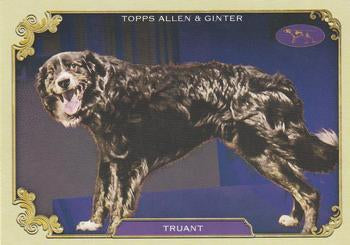 2024 Topps Allen & Ginter #SOS-4 Truant Stars Of The Show