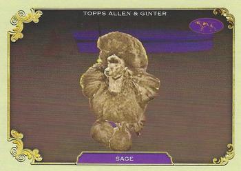 2024 Topps Allen & Ginter #SOS-35 Sage Stars Of The Show