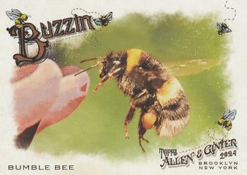 2024 Topps Allen & Ginter #BUZ-3 Bumble Bee Buzzin'