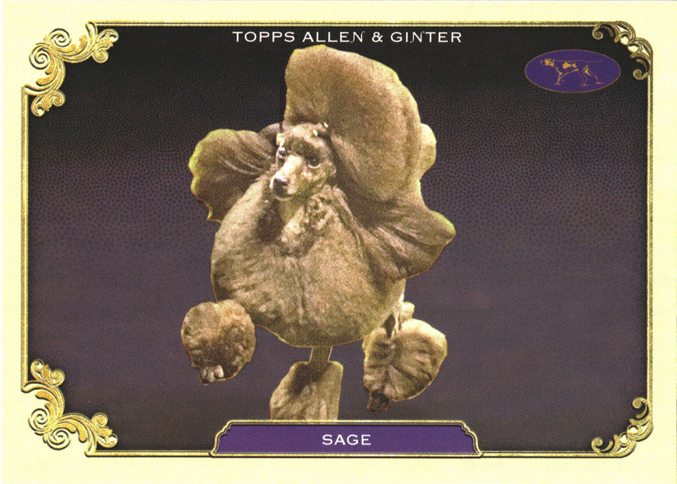 2024 Topps Allen & Ginter #SOS-27 Sage Stars Of The Show