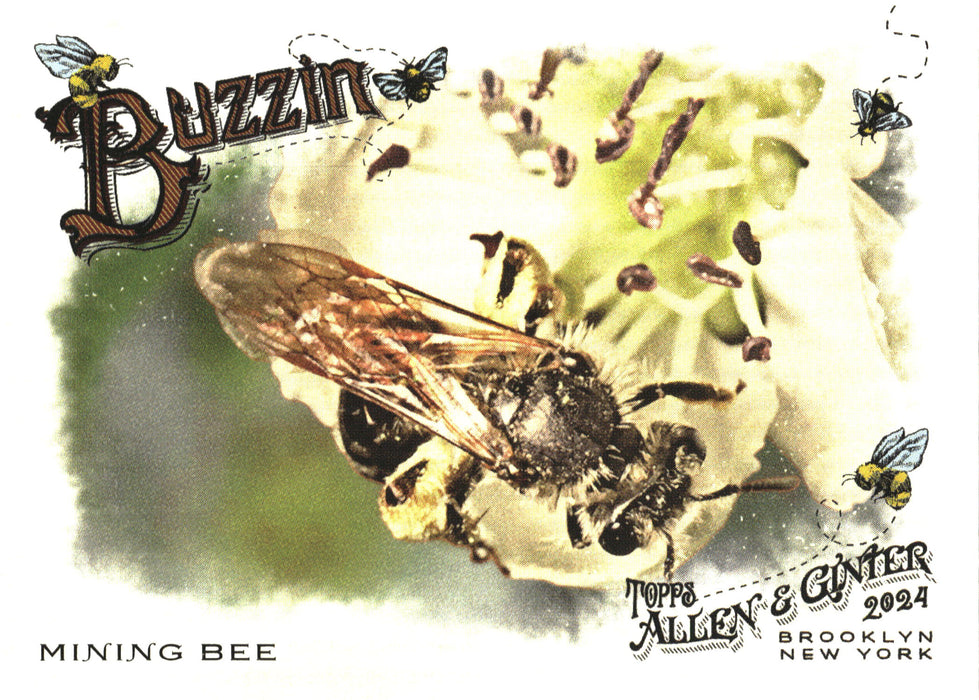 2024 Topps Allen & Ginter #BUZ-12 Mining Bee Buzzin'