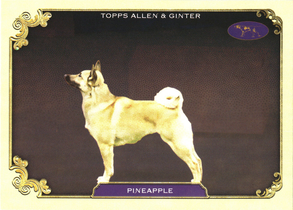 2024 Topps Allen & Ginter #SOS-32 Pineapple Stars Of The Show