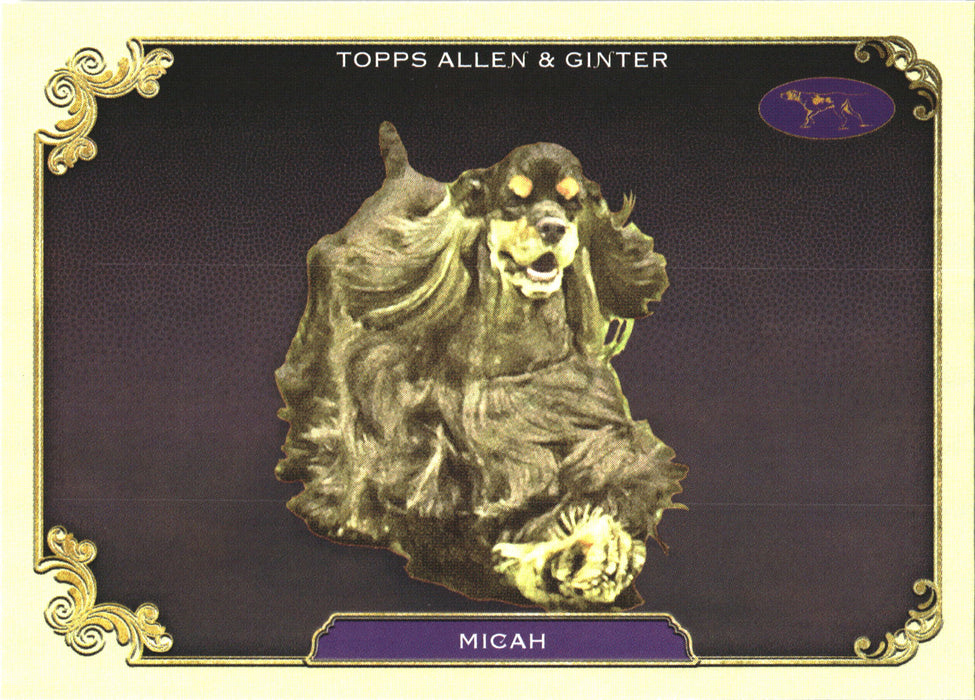 2024 Topps Allen & Ginter #SOS-28 Micah Stars Of The Show