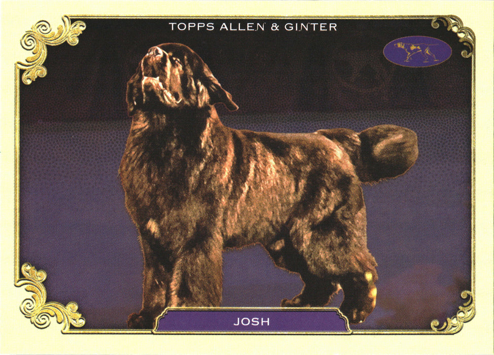 2024 Topps Allen & Ginter #SOS-24 Josh Stars Of The Show