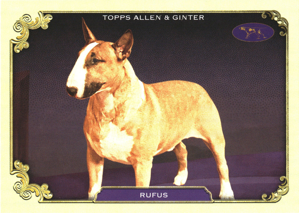 2024 Topps Allen & Ginter #SOS-23 Rufus Stars Of The Show