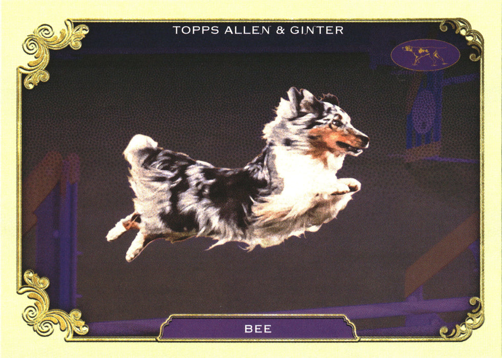 2024 Topps Allen & Ginter #SOS-3 Bee Stars Of The Show